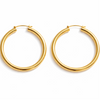 Rhea Gold Plated Hoop Earrings