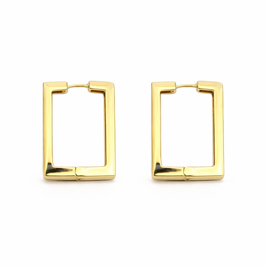 Numy Gold Plated Earrings
